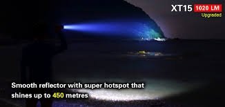 Falcon torch 4.jpg
